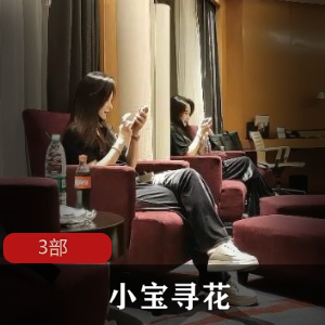 小宝寻花：挚爱之旅，两天三回合，总计3部