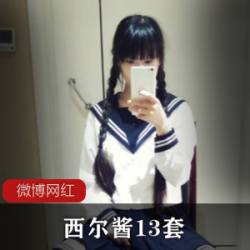 西尔酱：奇妙十三套，cheng+ren+shi+pin系列