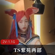 火爆热销TS紫苑两部全程震撼体验,高清画质,2V-1.1G!