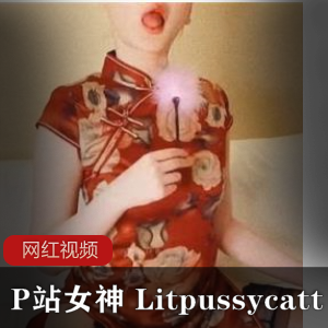 迷恋P站女神Litpussycatt的旗袍黑丝作品