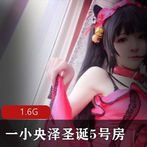 圣诞房合集