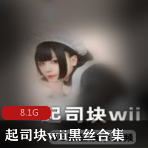 起司块合集