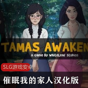 欧美风格手绘SLG游戏助眠家人汉化