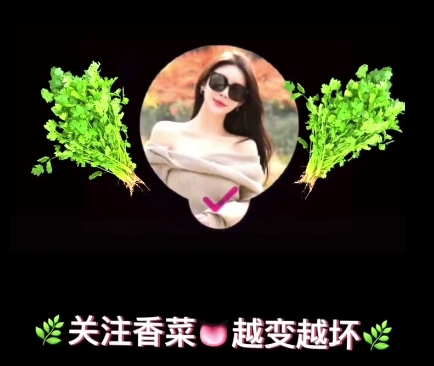 王者归来:微博大神性学先生的新作,31V1.20G,百度盘下载