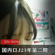 国内口J23年,第二期,30V-900M:J23年口红第二期,颜色为30V-900M