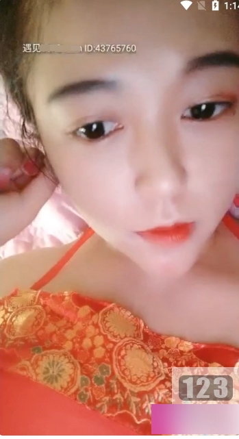 定制视频服务