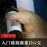 P站MsFine入门级别微口味重G交洋马小扩张合集二30V9.7G
