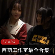 浆果儿、小粉猪、小蘑菇、西萌工作室的最全合集，2.5V，8.9G