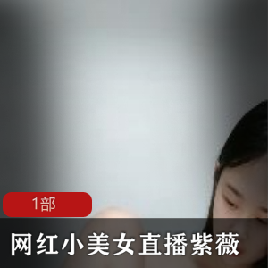 网红小美女紫薇直播视频