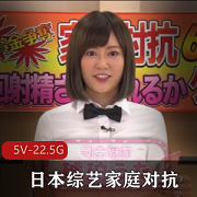 日本综艺家庭对抗系列合集高清