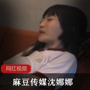 父债女偿：某传媒艺术家沈娜娜的作品