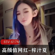 榨汁夏65V631M度盘