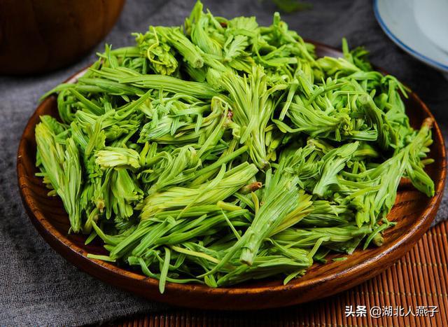 野菜图鉴