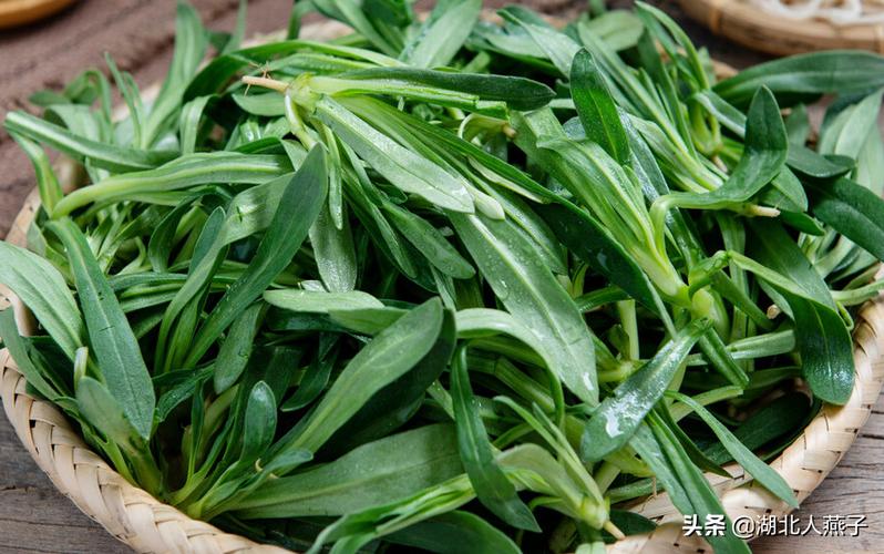 野菜图鉴