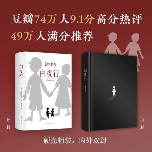 悬疑小说《白夜行》