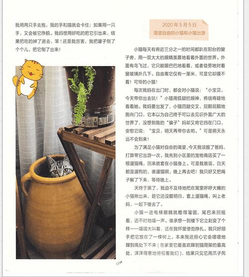 文史类合集