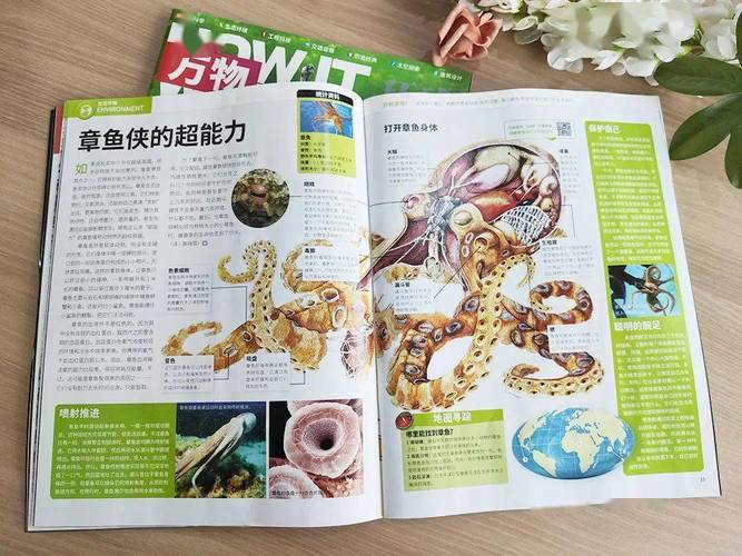 文史类合集