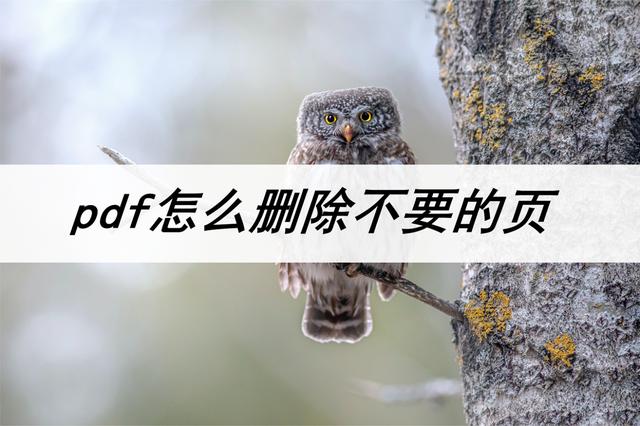 鲁班书:绝境求生必备,男科医生专用指南