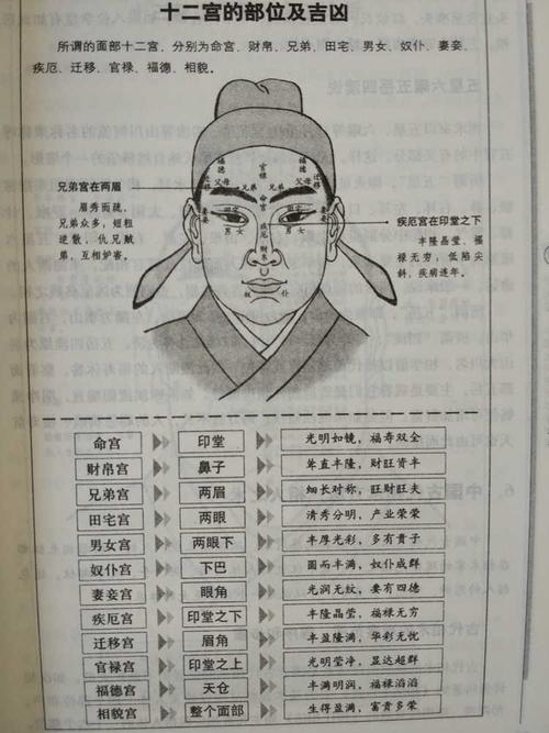 神相麻衣