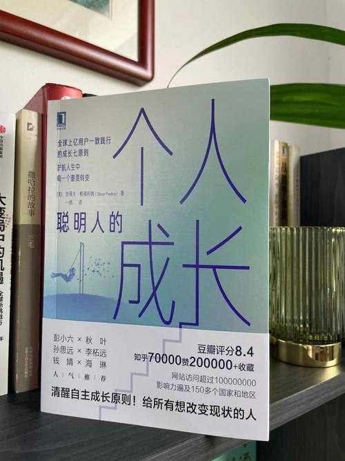 好书推荐:提高学习力和专注力的训练技巧,适合聪明但混乱的孩子