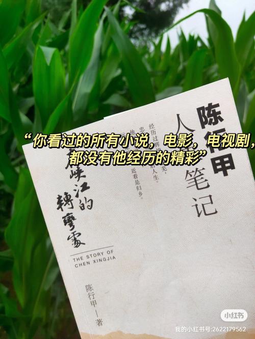 峡江转弯处：陈行甲的人生笔记（epub版）