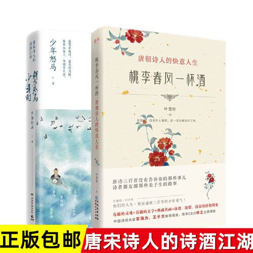 鲜衣怒马:唐宋诗人的诗酒江湖