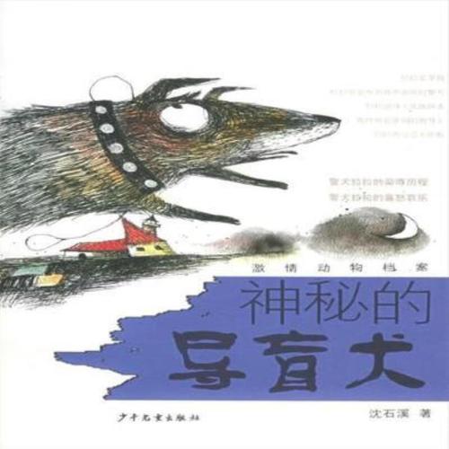 神秘的导盲犬