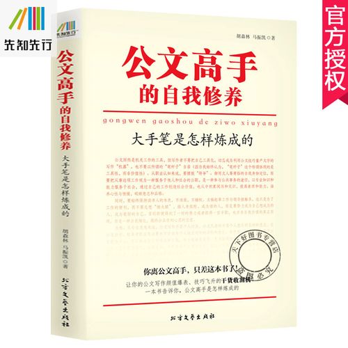 大手笔：资深秘书的公文写作秘笈