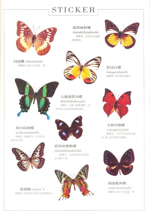 彩se+tu鉴：全球500多种蝴蝶，5本PDF