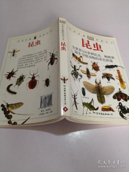 昆虫彩se+tu鉴