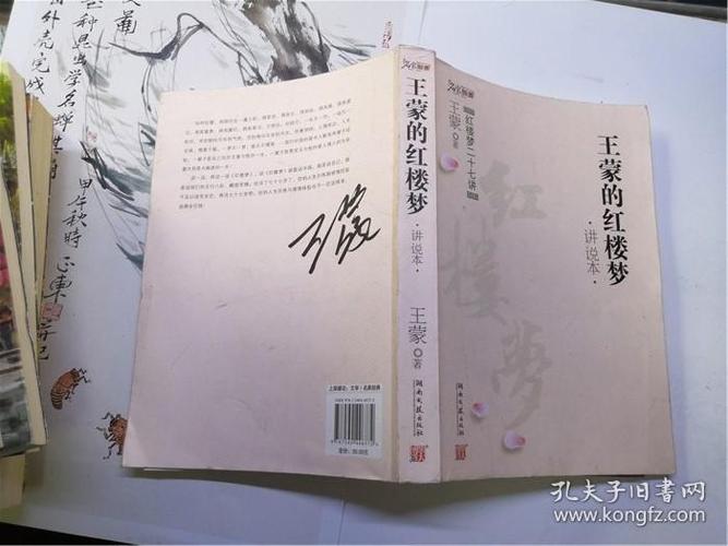 新说红楼