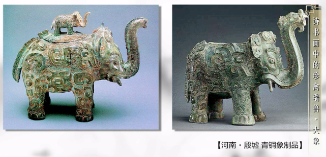中国环境史