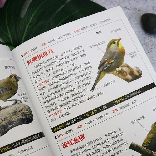 实用百科图鉴