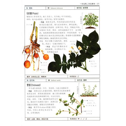 自然珍藏图鉴丛书