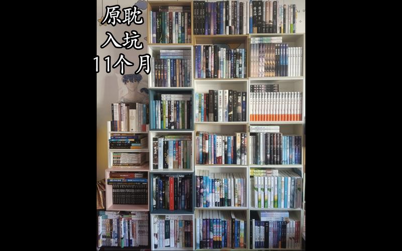 11个G的小说