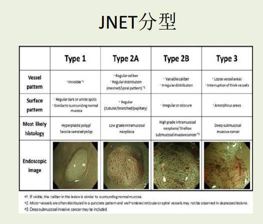 深度营养：深度营养的重要性与健康和长寿有关人类基因：人类基因对健康的影响和重要性传统饮食：传统饮食对健康的益处和推荐饮食：饮食对健康的影响和如何选择健康的饮食基因：基因与健康之间的关系和如何利用基因信息改善健康健康：健康的重要性和如何保持良好的健康状态强身健体：强身健体的方法和如何提高身体素质延年益寿：延年益寿的秘诀和如何延长寿命抵御疾病：如何通过饮食和生活方式抵御疾病生活质量：如何通过健康的生活