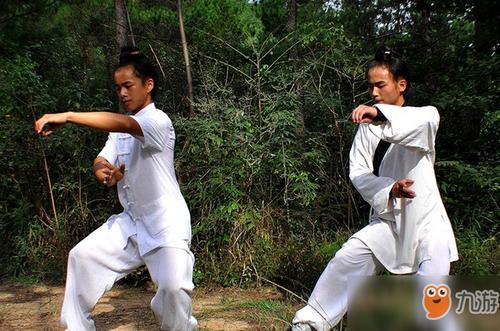 武当纯阳拳炼养全书