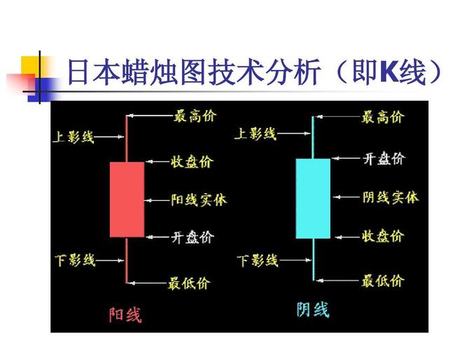 武当太极剑精解