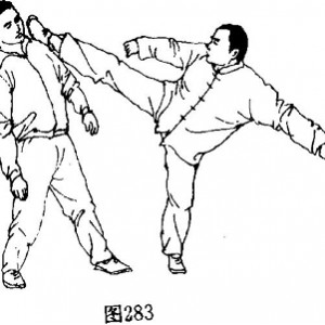 中华武术九转连环鸳鸯腿分享