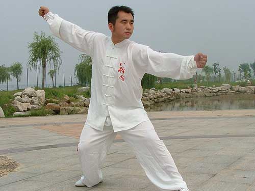 中华武术吴斌楼戳脚翻子全书