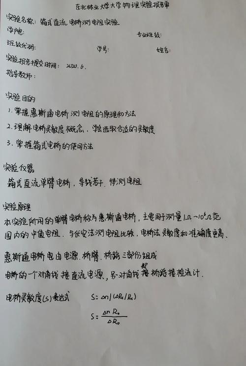爱性实验报告