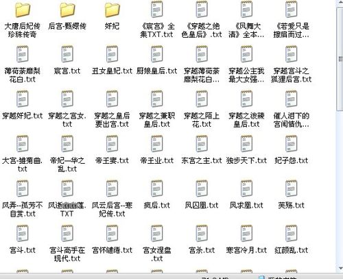 网络小说合集