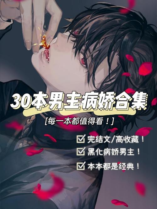 网络小说合集