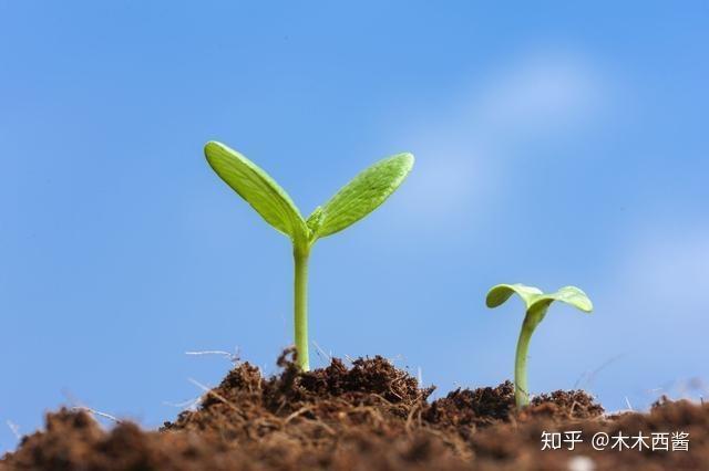 十四堂人生创意课