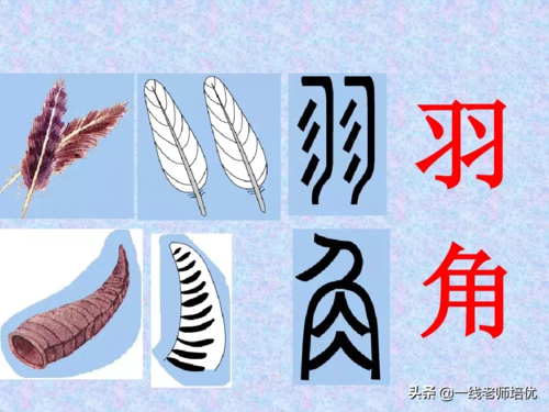 汉字解读