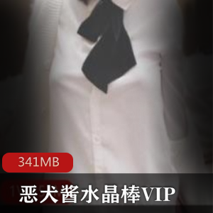 VIP独家定制!水晶旗袍,推特恶犬酱棒,独一无二的奢华之选!