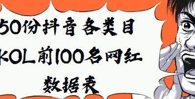 《抖音网红数据表：KOL的秘密揭秘》