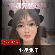酷炫无T49V-3.4G可御可萝小凌兔子！