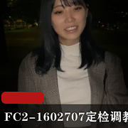 「提升性能,轻松应对定检!FC2-1602707,2V-4.5G给你最佳指教!」