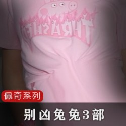 《网红兔兔经典系列，别凶只有3部！》
